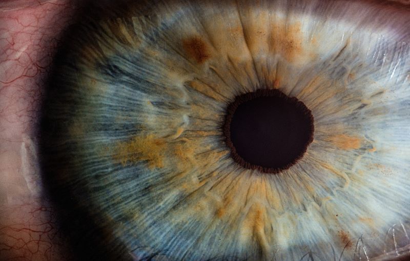 Close up of a human eye showing the iris and pupil in detail.