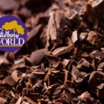 Chocolate pieces and Cadbury World logo