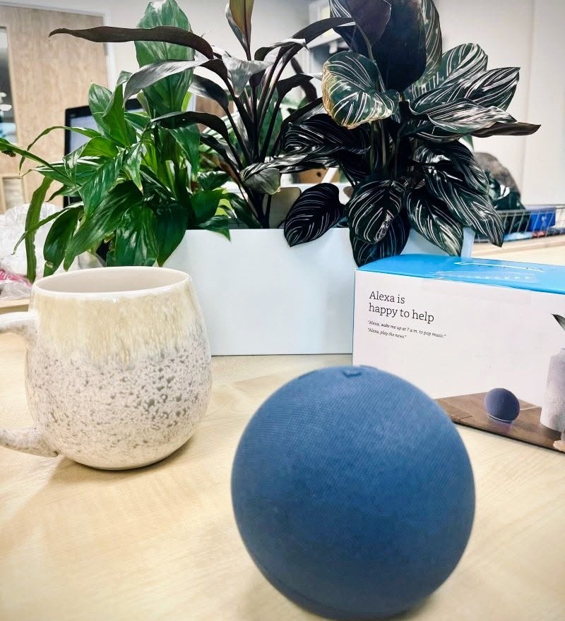 Alexa Alexa smart speaker on table with plant and coffee mug