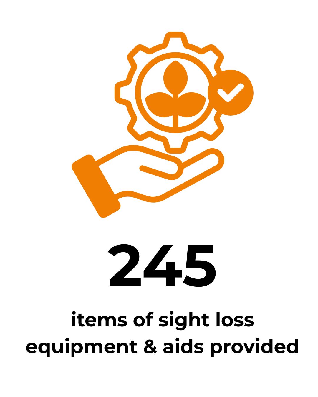 Graphic: 245 items of sight loss equipment & aids provided