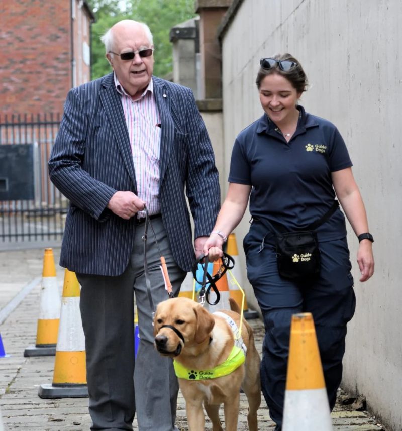 Guide dog taster walks at See Hear Remember exhibition